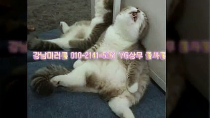 강남풀싸롱【OI0↔2I④1↔5③61】야구장풀싸롱Ω강남야구장≠강남추천업소ρ강남룸ΘYG상무Σ강남셔츠룸↔강남이부가게Δ풀싸롱Γ선릉풀싸롱