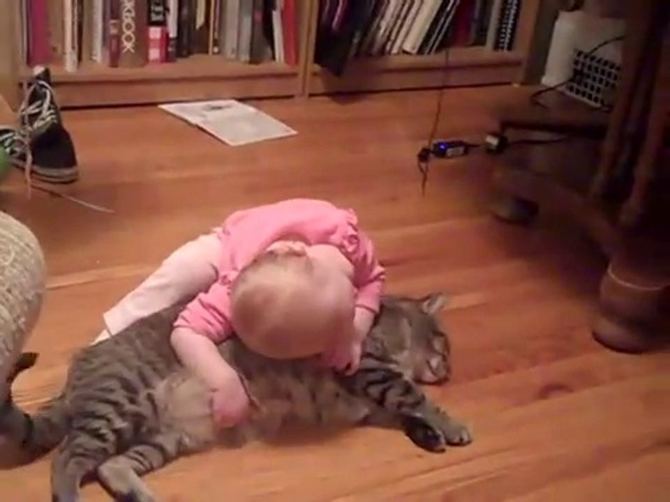 The most patient and docile cat ever!