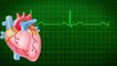 The Heart and Circulatory System - How They Work | Anatomy of the Heart | About Your Heart Attack | Nucleus Health //Anatomy and Function of the Heart