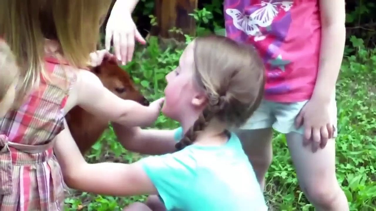 The Cutest Kids and Animals Compilation 2019 Pt  1  Funny Pet Videos