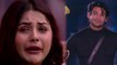 Bigg Boss 13 Grand Finale: Shehnaz Gill EVICTED, Siddharth wins Trophy ? |FilmiBeat