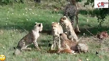 진주출장서비스 진주출장서비스O1OE2908E6803｛카톡ABC23｝ 진주출장마사지샵 진주출장안마on진주출장안마cos여3♪⇔∃마사지황형♥≘≪