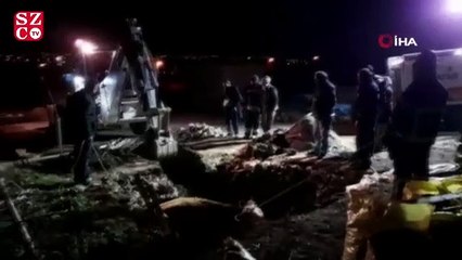 Fosseptik çukuruna düşen hamile inek itfaiye tarafından kurtarıldı