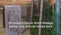 Rat race: rodents become talking point of Paris polls