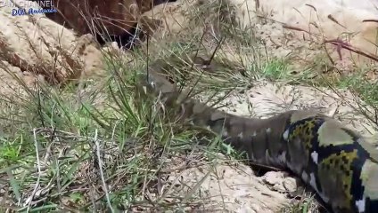 괴산추천업소【OI0↔29O8↔68O③】괴산추천업소예약♥⊊≪