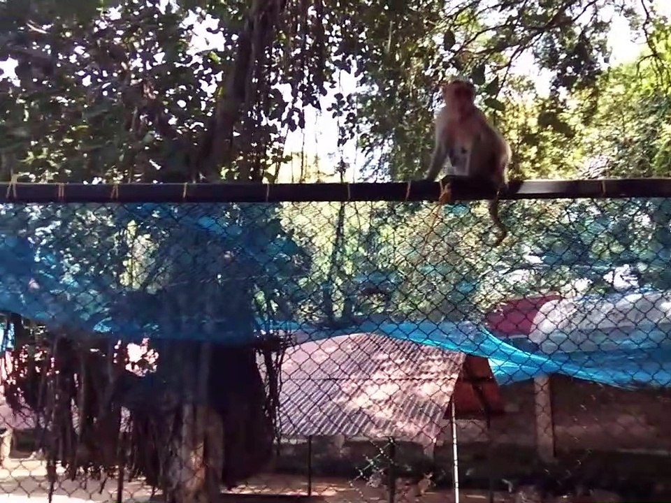 Holiday vlog- National Children park guindy-Guindy children park -Chennai -india part-1