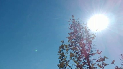 SANTISIMA VIRGEN MARIA EN EL REINO DE LOS CIELOS