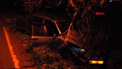 Kontrolden çıkan otomobil ağaca çarptı 2 yaralı