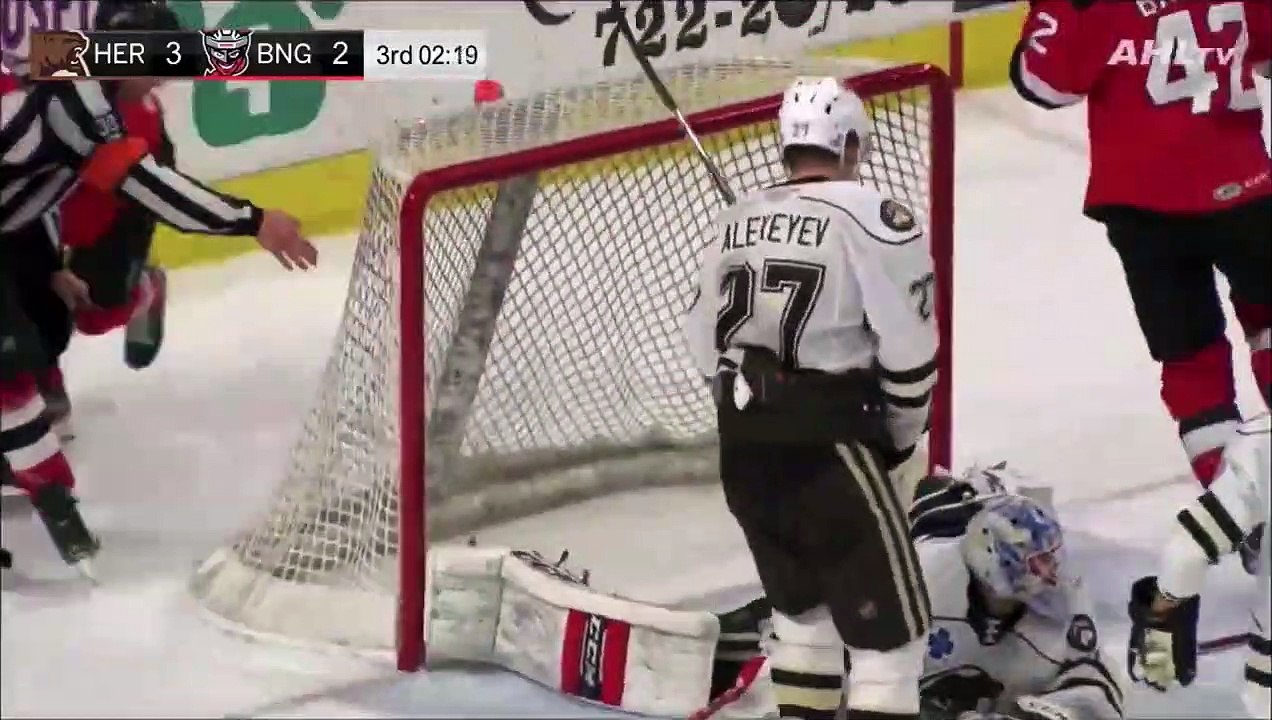 Binghamton Devils Overtime winner, Amazing check it out