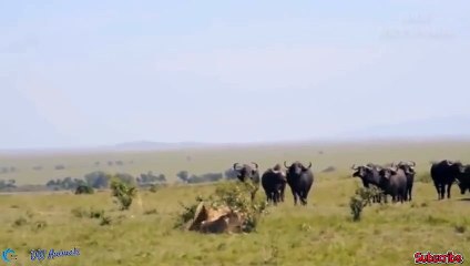 순천출장서비스 순천출장서비스O1Og2143g9131｛카톡UOM7｝ 순천출장마사지샵 순천출장안마on순천출장안마cos여3♪⇔∃마사지황형♥◉≪