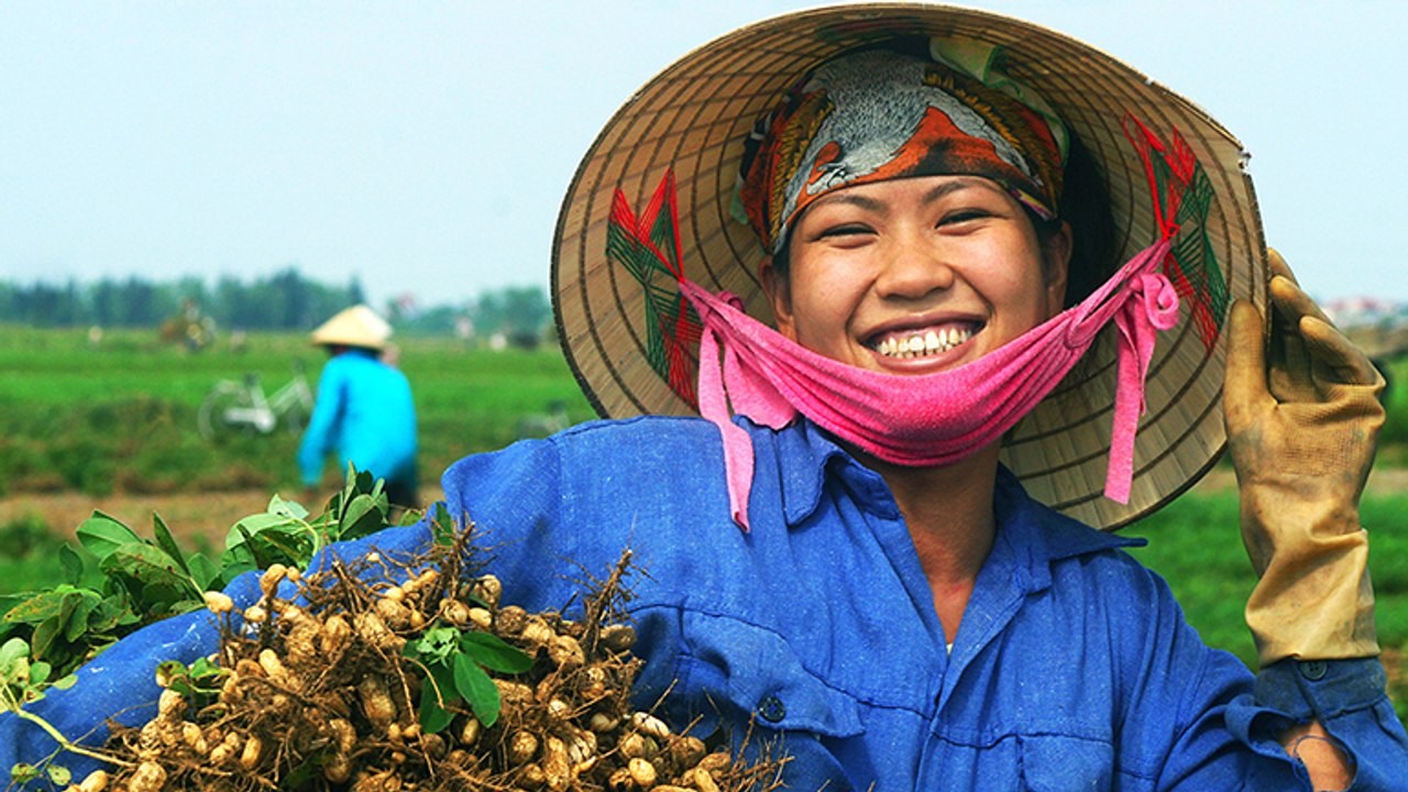Nông thôn chuyển động-16/02/2020