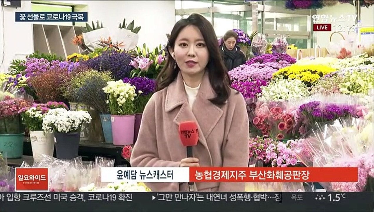 코로나19 직격탄 화훼농가…"꽃 선물·나눔해요"