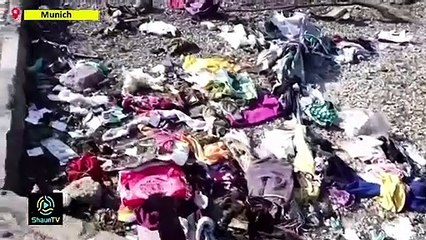 Plane crash victims' group urges Iran to share black boxes