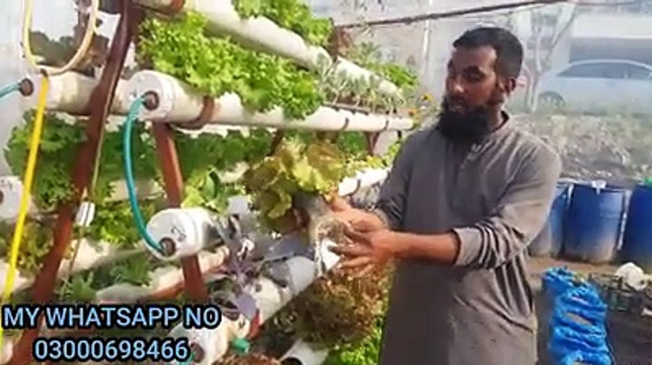 گھریلو کاشت کاری