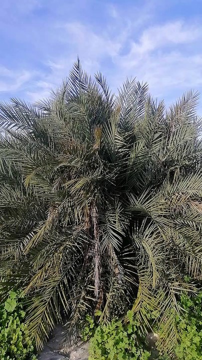 Australian capital territory