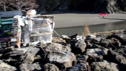 Zonguldak işçi emeklisi, hayatını sokak kedilerine adadı