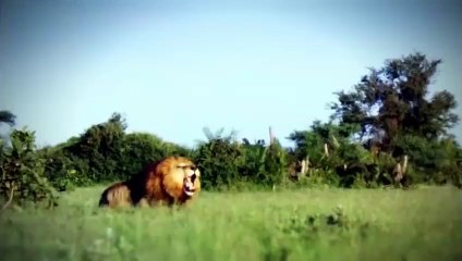 경주출장서비스 경주출장서비스O1Og2154g6609｛카톡LOT45｝ 경주출장마사지샵 경주출장안마on경주출장안마cos여3♪⇔∃마사지황형♥≳≪