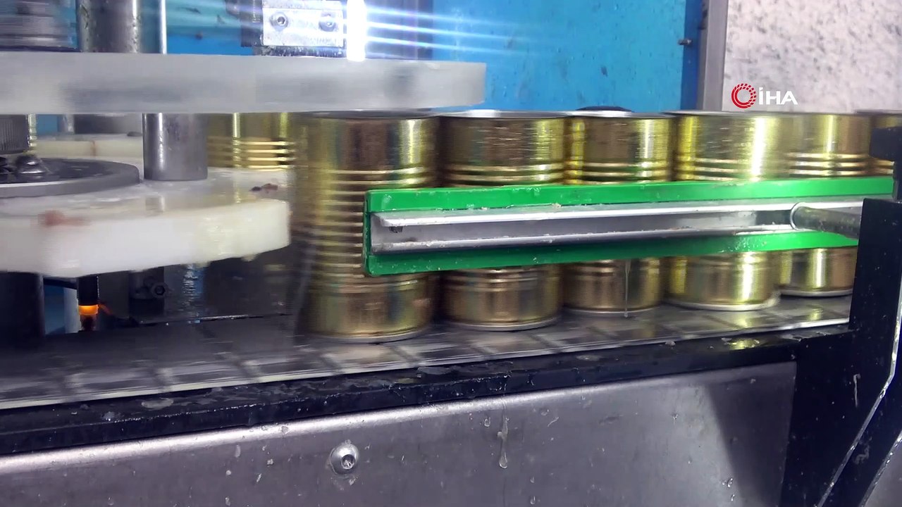 2 ay önce kedi-köpek maması üretim tesisi kurdu, 5 ülkeden teklif aldı