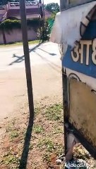 Home street view