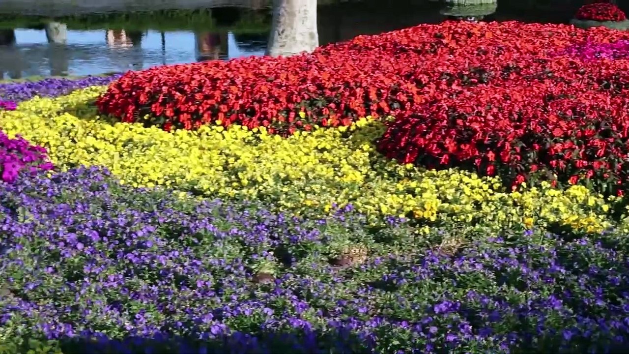 At World Showcase Enjoying Flower and Garden festival riding Frozen - Epcot at night