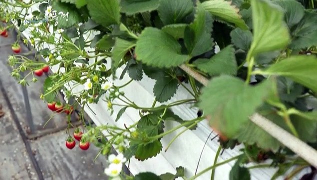 [UHD 다큐 풍경] 자연과 역사가 빚어낸 신비…고창