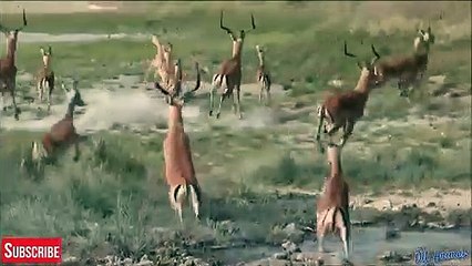 고령출장서비스 고령출장서비스O1Og4832g2166｛카톡MGM85｝ 고령출장마사지샵 고령출장안마on고령출장안마cos여3♪⇔∃마사지황형♥◤≪