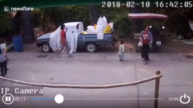 Un bébé échappe de justesse à la chute d'un arbre... chanceux le gamin