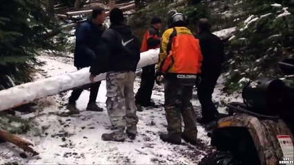 Cet arbre qui bloque la route n'a pas dit son dernier mot