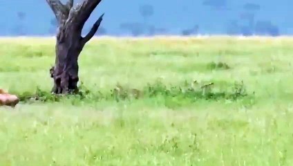 대전출장서비스 대전출장서비스O1OE2104E4640｛카톡GDS25｝ 대전출장마사지샵 대전출장안마on대전출장안마cos여3♪⇔∃마사지황형♥◨≪