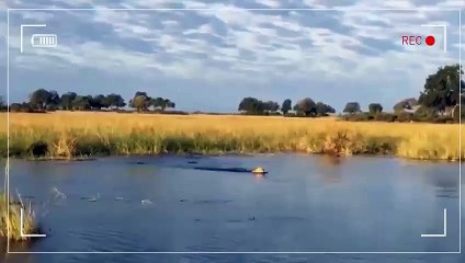 은평출장서비스 은평출장서비스O1Og4832g2166｛카톡BBC42｝ 은평출장마사지샵 은평출장안마on은평출장안마cos여3♪⇔∃마사지황형♥◆≪