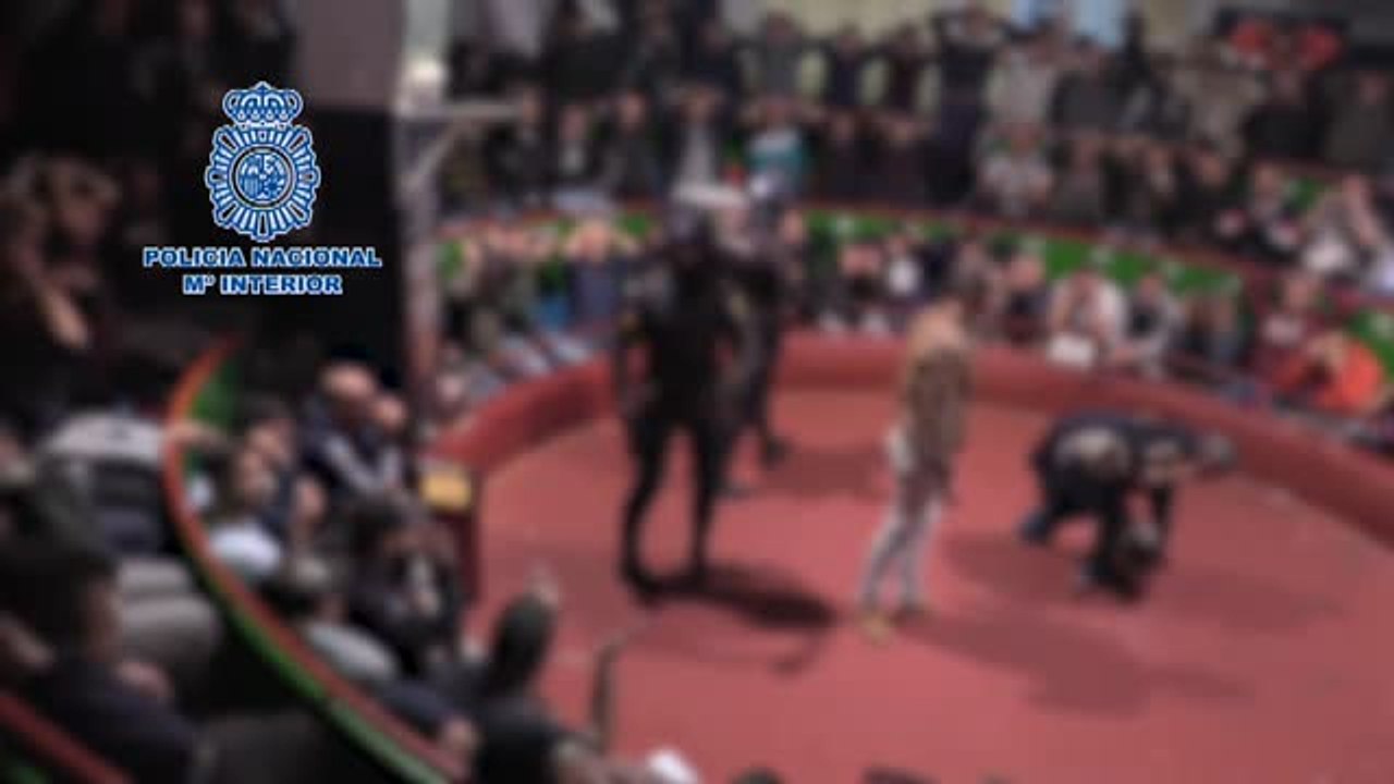 La Policía interviene en un campeonato de peleas de gallos en el Puerto de Santamaría (Cádiz)