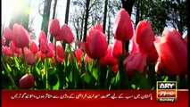 Amazing Dunya | ARYNews | 16 February 2020