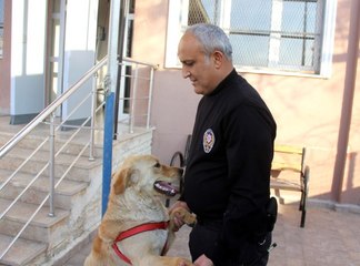 Kaybolan köpek karakola sığındı
