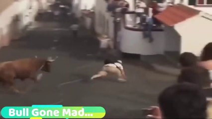 The World s Most Dangerous Bull Festival  साँड़ों का मुक़ाबला सड़क के बीच !