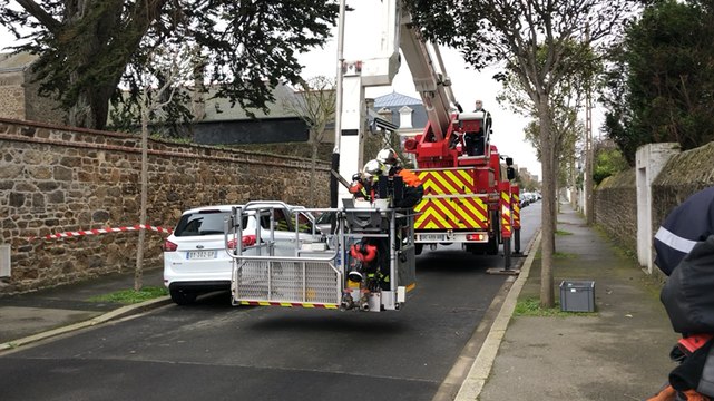 Les pompiers au chevet d’un cyprès endommagé