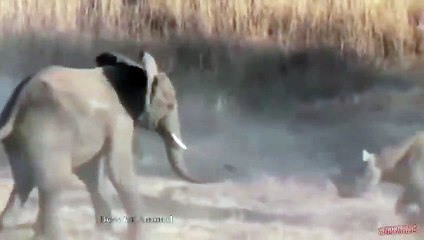 강릉출장서비스 강릉출장서비스O1Og4838g4959｛카톡SBS52 라인VPN58｝ 강릉출장마사지샵 강릉출장안마on강릉출장안마cos여3♪⇔∃마사지황형♥◒≪