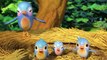Five Little Birds 3 - CoCoMelon Nursery Rhymes & Kids Songs