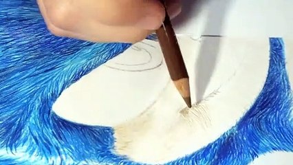 Como dibujar a Sonic Realista ya