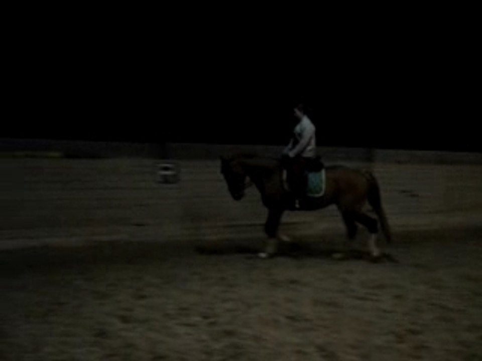 MOV02233