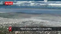 محافظة بورسعيد تبدأ إزالة القواقع من شواطئ المحافظة