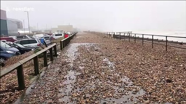 Surfers near Brighton on England's south coast catch some huge waves during Storm Dennis
