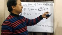 Regulation of DNA Replication