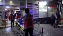 Adana narin, maganda kurşunuyla yaralandı