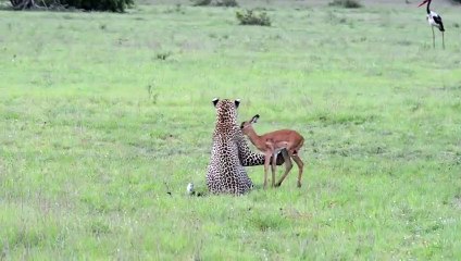 노원출장서비스 노원출장서비스O1Og2118g2518｛카톡KFC49｝ 노원출장마사지샵 노원출장안마on노원출장안마cos여3♪⇔∃마사지황형♥∏≪