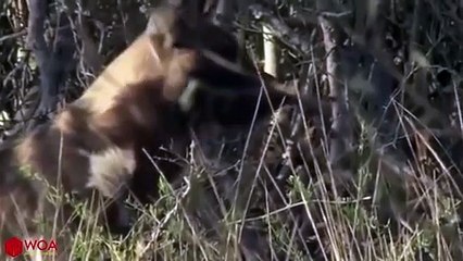 청주출장서비스 청주출장서비스O1OE6579E3382｛카톡COM23｝ 청주출장마사지샵 청주출장안마on청주출장안마cos여3♪⇔∃마사지황형♥≇≪