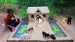 Rescues Abandoned Puppies By Building A Mud House And Swimming Pool For Them
