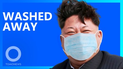 Quarantined North Korean official executed for public bath visit