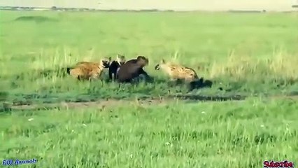 나주추천업소【OI0↔29O8↔68O③】나주추천업소예약♥≿≪