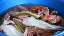 Cambodian food - Dried fish Porridge -បបរសត្រីងៀត - ម្ហូបខ្មែរ