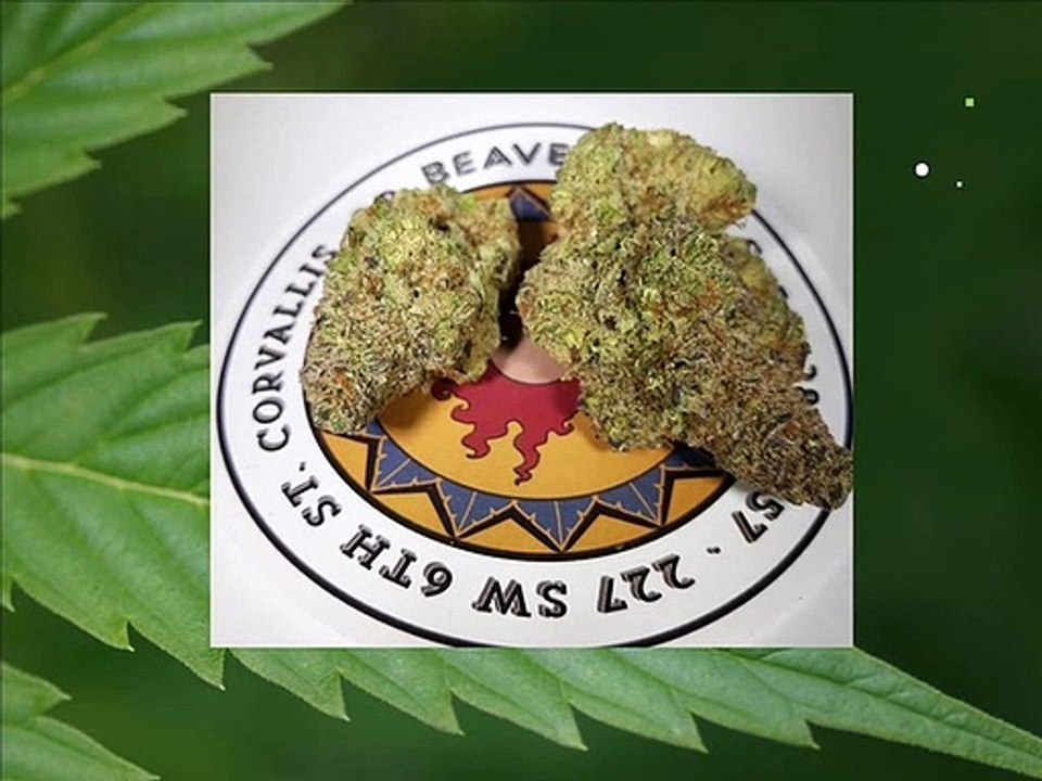 Marijuana Dispensaries in Albany Oregon - www.beaverbowls.com